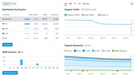 google seo优化案例-buy now pay later